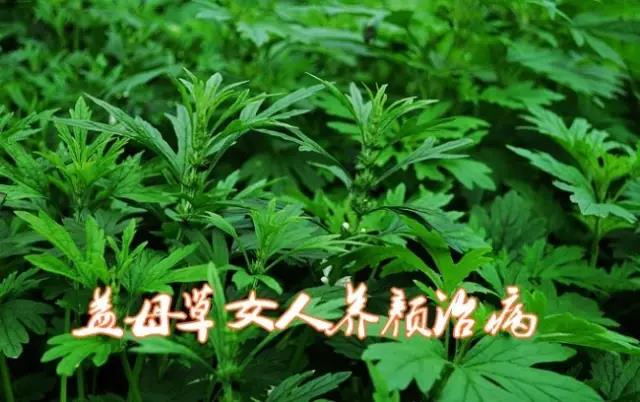 304am永利集团制药