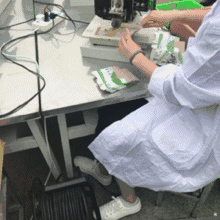 304am永利集团制药